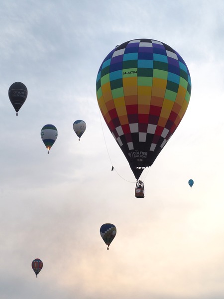 2025¡¡º´²ì¥Ð¥ë¡¼¥ó¥Õ¥§¥¹¥¿P1012504