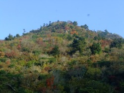 u-4DSCF6396