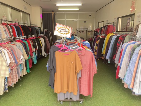 Ĺ綶Į̵͸ĹŹIMG_3388