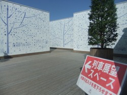 fu-16DSCF9355