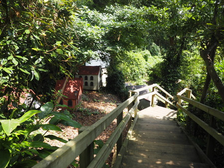 2023.07.29Ĺ��԰˲��硡�ץ쥸�㡼�������ɥߥ塼������P1010812