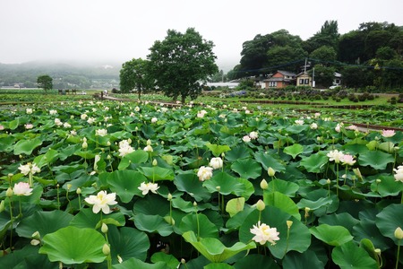 3-���������ϥ���DSC09845