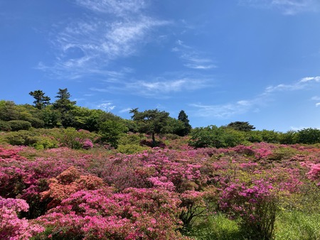 2022.05.04 雲仙市 宝原園地IMG_7171