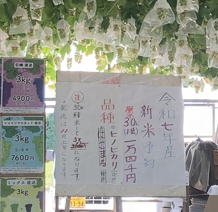 ����ʡ����꡼�֤ɤ���IMG_4982