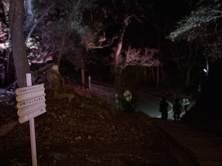 ���Ϳ��Ҥؤ�ƻ�Τ�IMG_0392