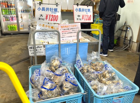 ëÝÁáÏѵù¶¨¾®Ä¹°æÄ¾ÇäŹ ¤æ¤ê¤«¤´¤¢¤µ¤êIMG_0606