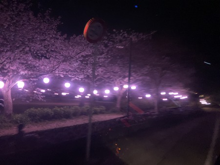 2024.04.03 諫早市森山町 慶師野バス停横広場IMG_8602