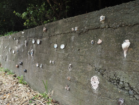 2023.07.29Ĺ��԰˲��硡�ץ쥸�㡼�������ɥߥ塼������P1010952