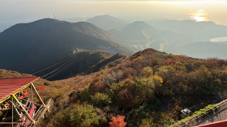 ��̯���ٻ�ĺIMG_3039