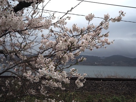 13-�����¿�ɸ�Į������Х���κ�����P3203871