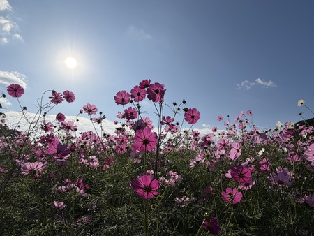 ����Į�ķ�Υ����⥹ȪIMG_1369