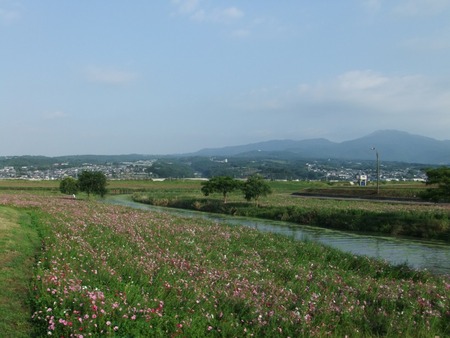 12-DSCF3024