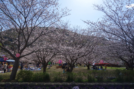 7-����Կ���Į������ƻDSC01299
