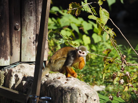 2021.11.14 �����ݻԡ��彽����ư��ʪ�ࡡ�������PB136648