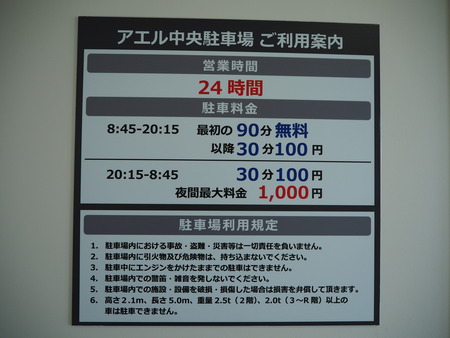 P2041969--アエル