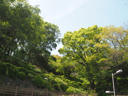 2021.04.10 諫早公園、高城神社、上山つつじ園P4105868