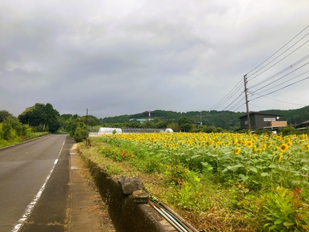 2023.09.30������ԡ��������⸶IMG_0004