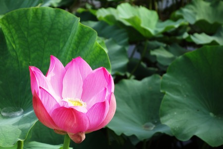 8-��������ϡ��DSC08327