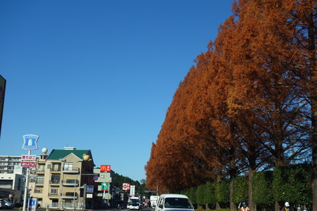 2-����DSC02484