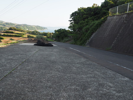 2023.07.24������������Į����곤����쥭���׾��P1018572