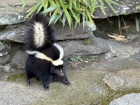 Ĺ��Х����ѡ�����������IMG_0451