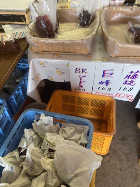 2024.0827 大村市福重IMG_9707