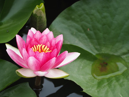 2021.06.18 ԡϥP6174350