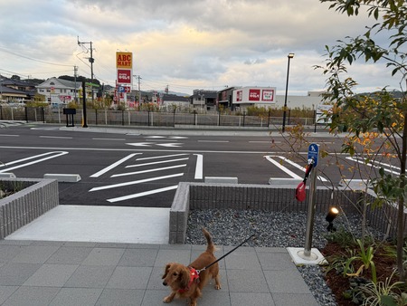 �������Хå��������ɺ�ŹI���꡼�ɥեå�IMG_4307