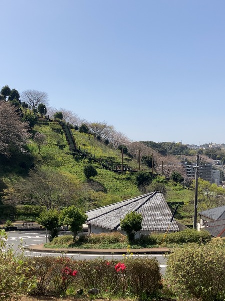 2024.03.30 長与町 中尾城公園IMG_6830