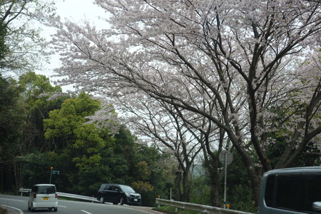 3-���Ļ�����DSC01882