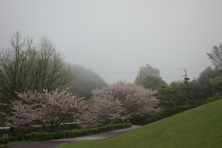 12−多良見町のぞみ公園DSC02028