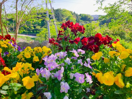 2022.04.19 ����Ը��Į���ھ�̾�β�ȪIMG_5679