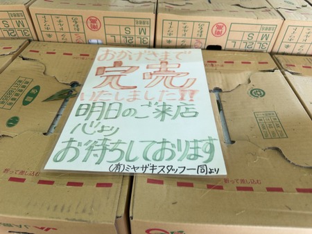 �ߥ䥶���Ĳ�IMG_3656