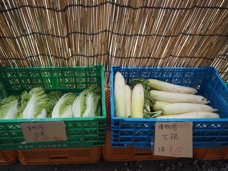 2022.01.14 雲仙市愛野町 無人販売トレベジP1092945