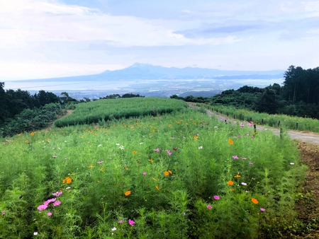 2023.09.30������ԡ��������⸶IMG_9950