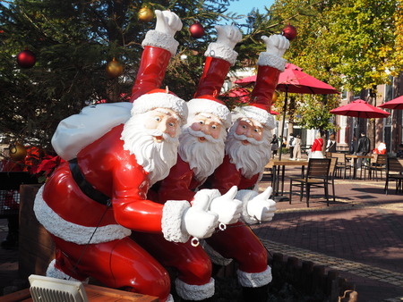 �ϥ����ƥ�ܥ���ʮ��������PB071436