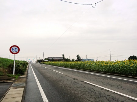 1-DSC03431