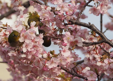 2023.03.04����¼�ԡ��׸�����3��P1012108