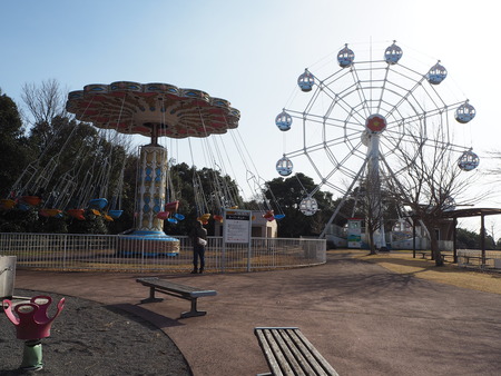 諫早市小長井町 山茶花高原P1161622