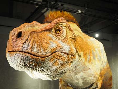 2021.10.31 Ĺºê»Ô¶²ÎµÇîʪ´ÛPA295736