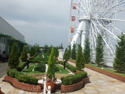 co-3DSCF3992