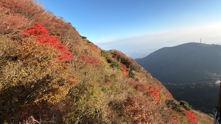 ��̯���ٻ�ĺ�����IMG_2977