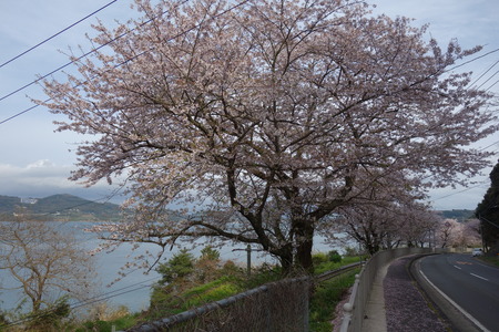 7-多良見町古川DSC05792