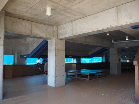 2021.11.14 �����ݻԡ��彽����ư��ʪ�ࡡ�������PB136569