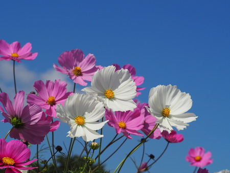 2022.10.28���׳��ֿ����PA232419