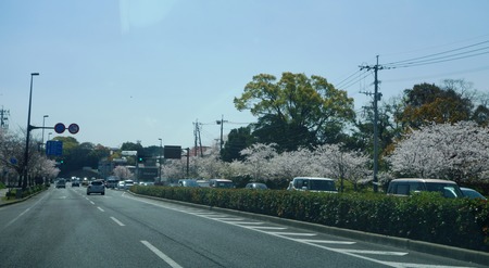 1-大村公園付近DSC01359