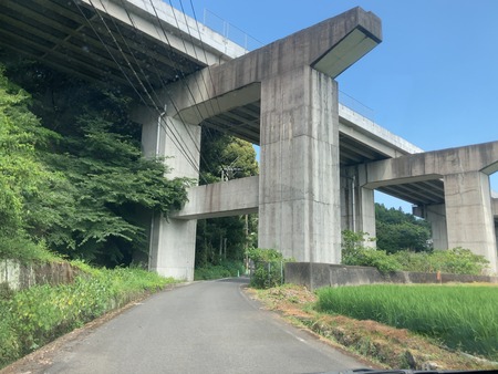 2024.08.05 諫早市 坂口養蜂IMG_6569