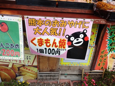 10-DSC04025