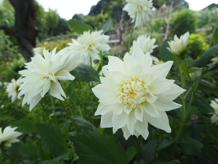 2021.06.21 Ĺ��Զ׳����ϥåԡ��ƥ饹P6205209