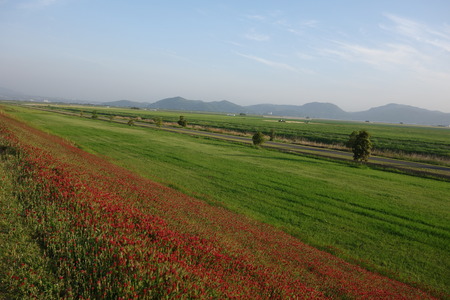 5-�����Ѵ���DSC03818